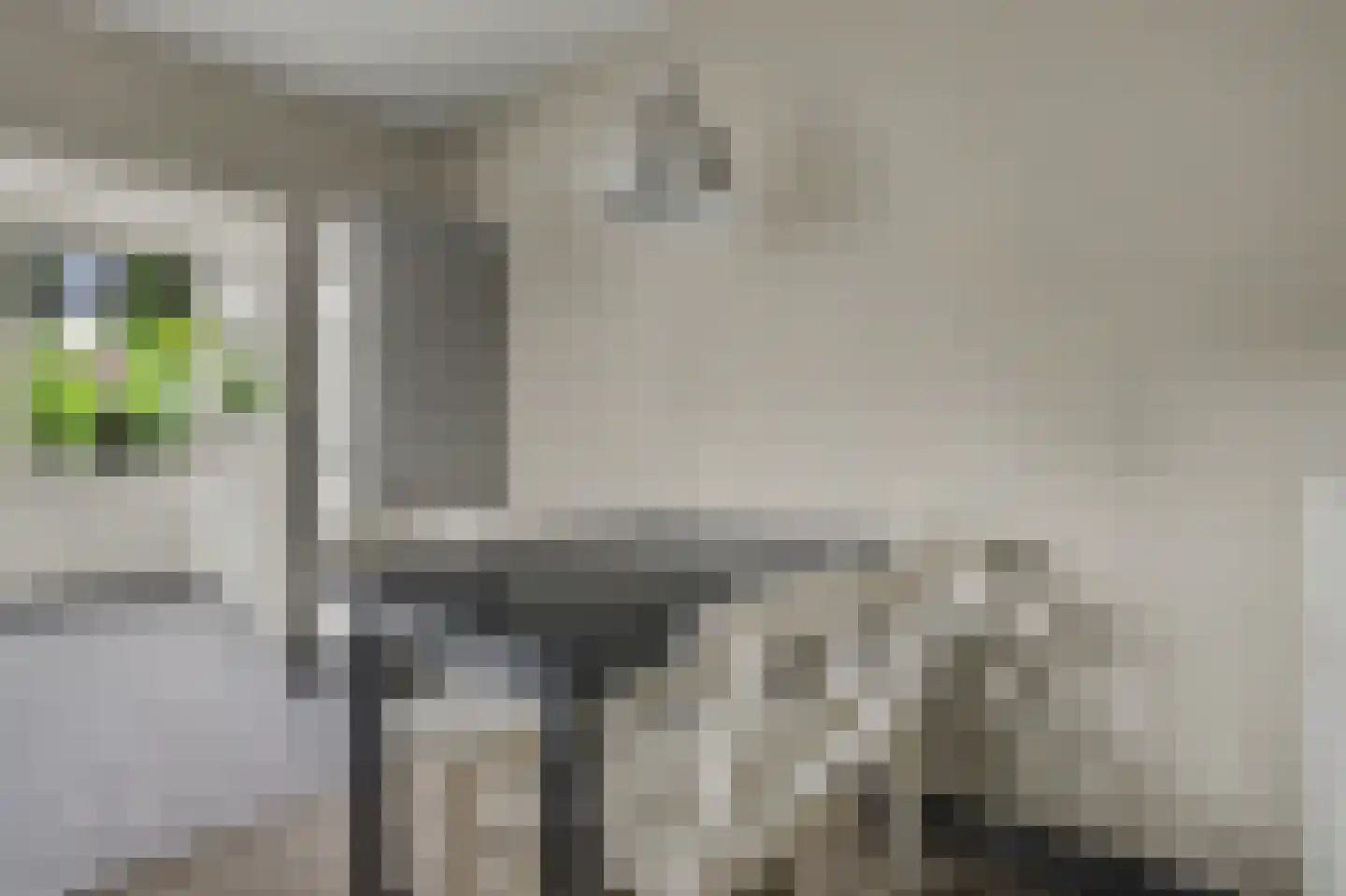 Pastoor de Beeckstraat 19 Goirle thumbnail 11