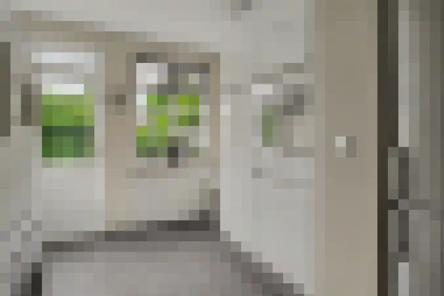 Pastoor de Beeckstraat 19 Goirle thumbnail 12