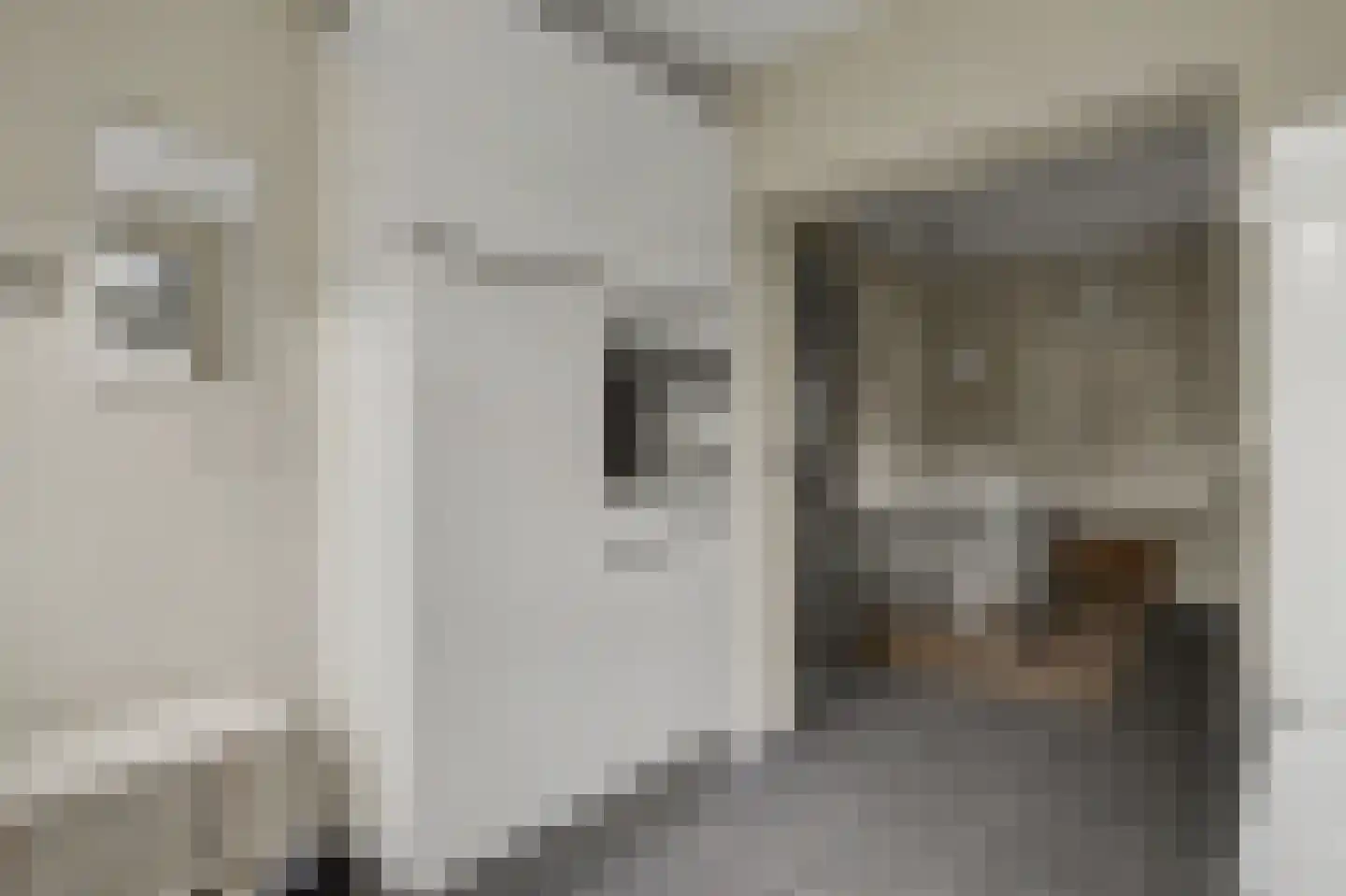 Pastoor de Beeckstraat 19 Goirle thumbnail 13