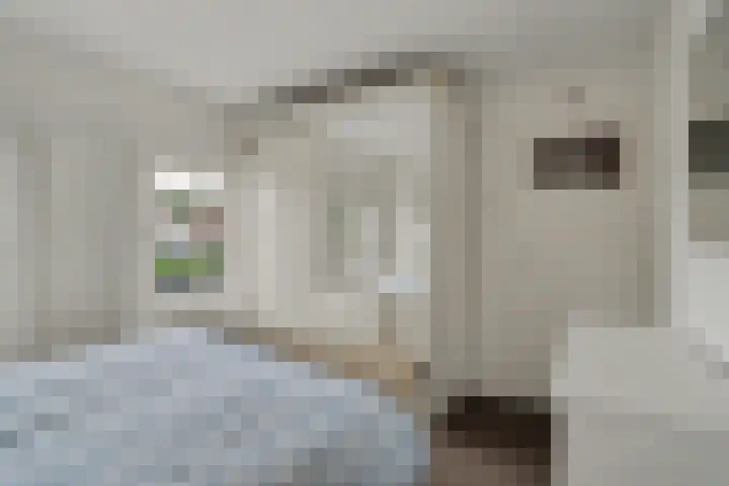 Pastoor de Beeckstraat 19 Goirle thumbnail 16