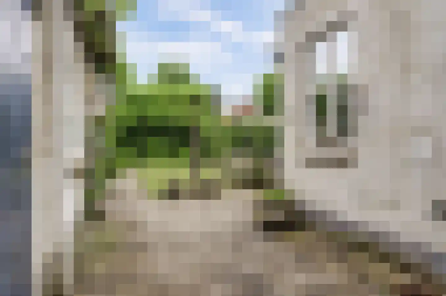 Pastoor de Beeckstraat 19 Goirle thumbnail 21