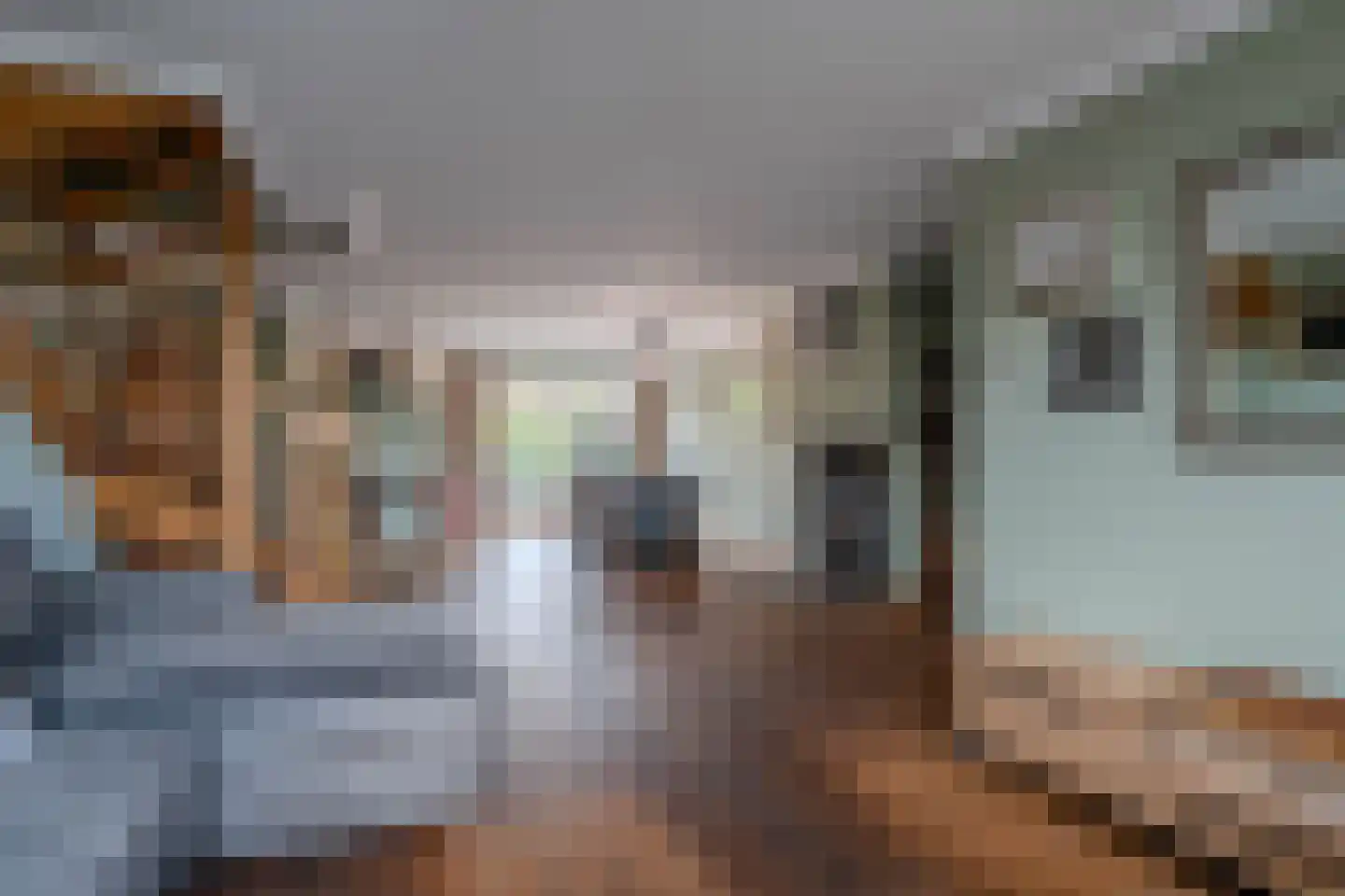 Pastoor de Botstraat 15 Merselo thumbnail 10