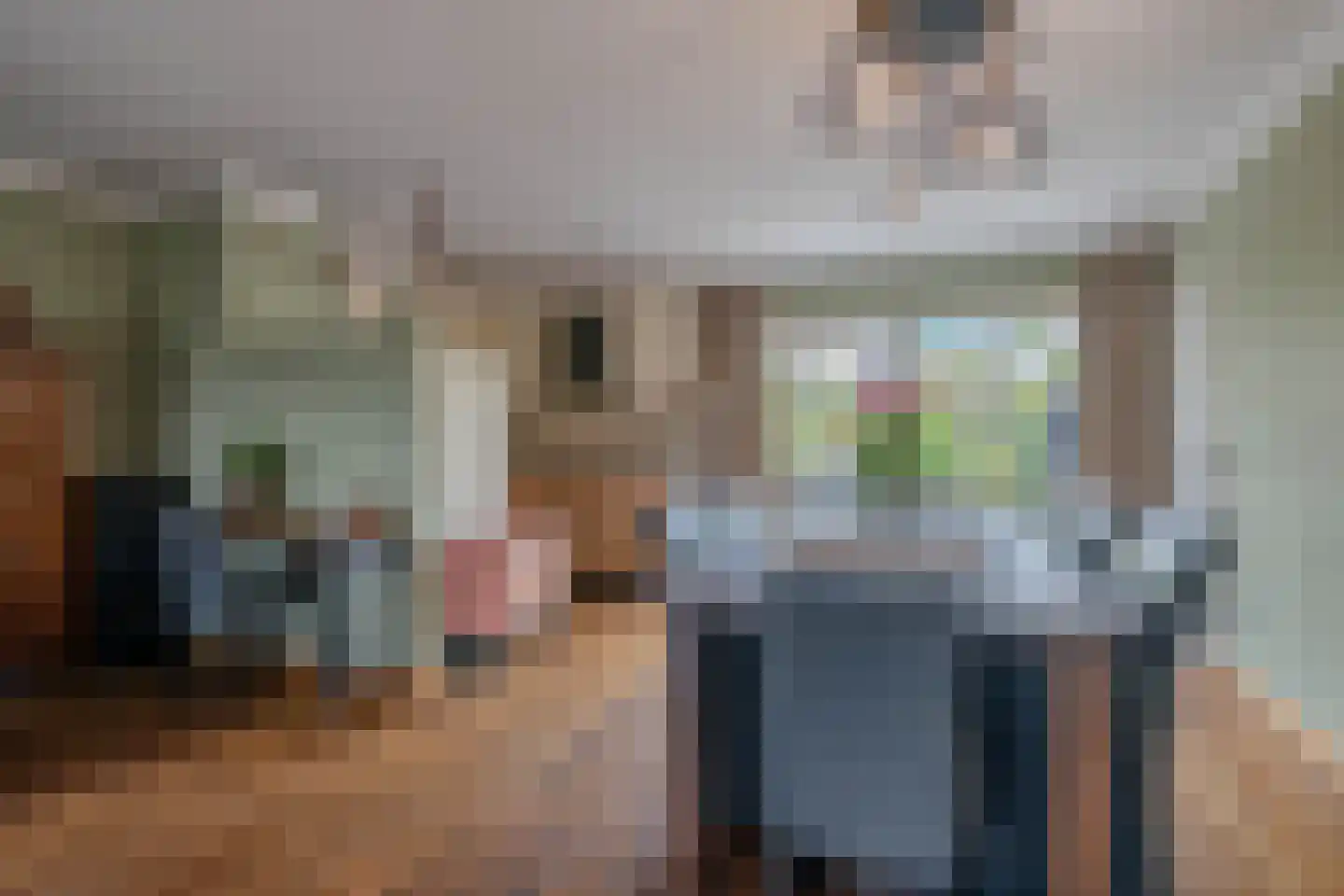Pastoor de Botstraat 15 Merselo thumbnail 15