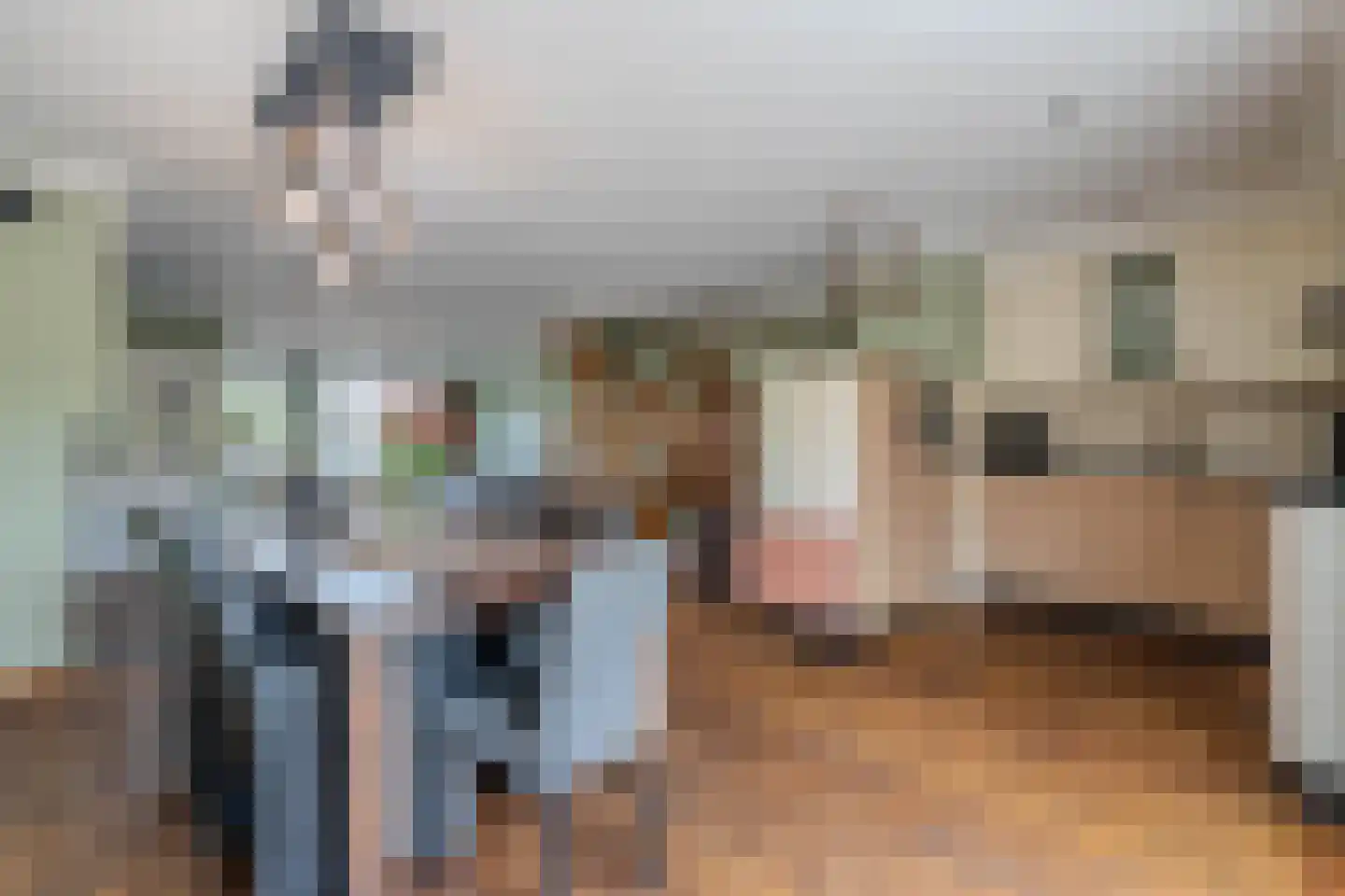 Pastoor de Botstraat 15 Merselo thumbnail 16