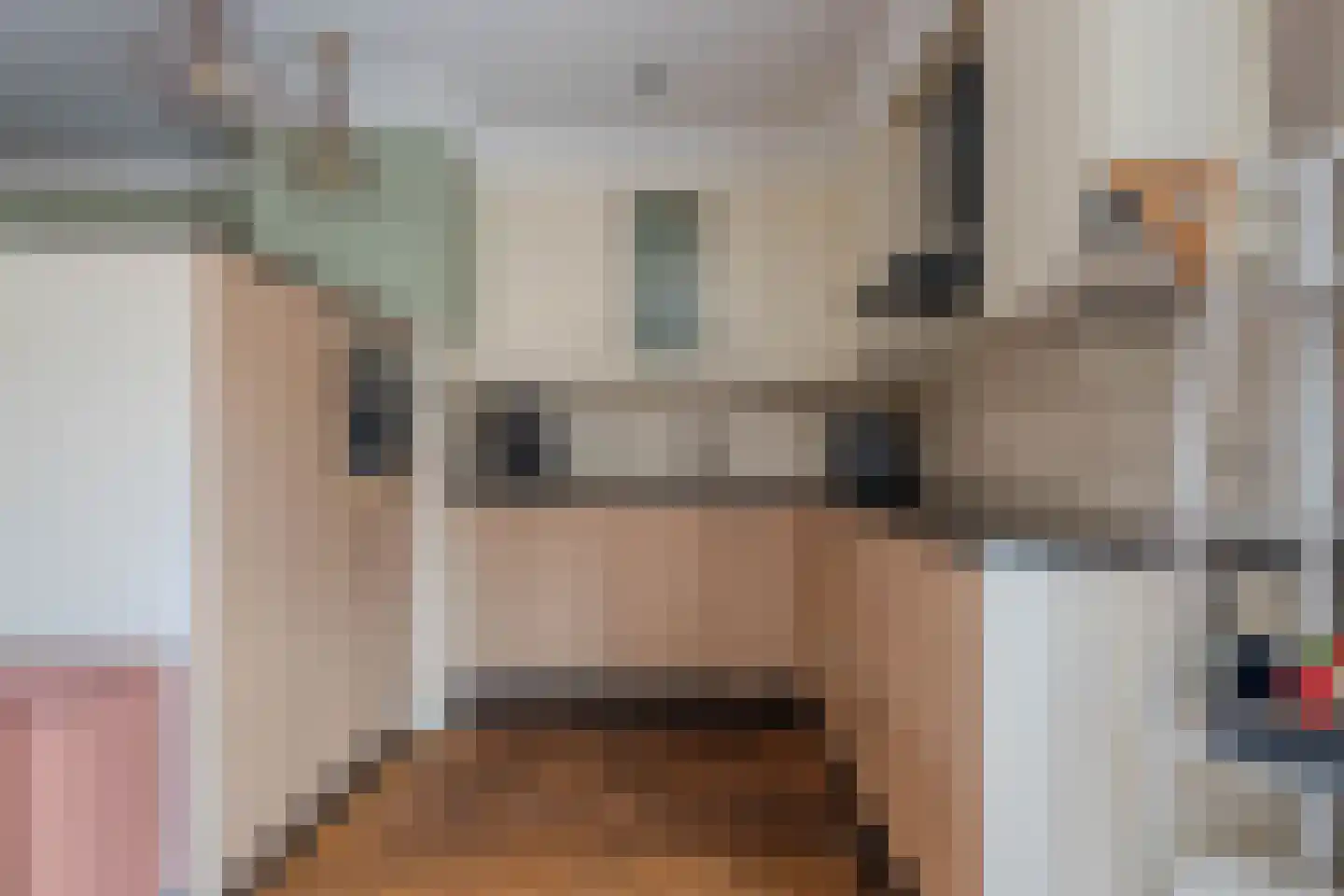 Pastoor de Botstraat 15 Merselo thumbnail 17