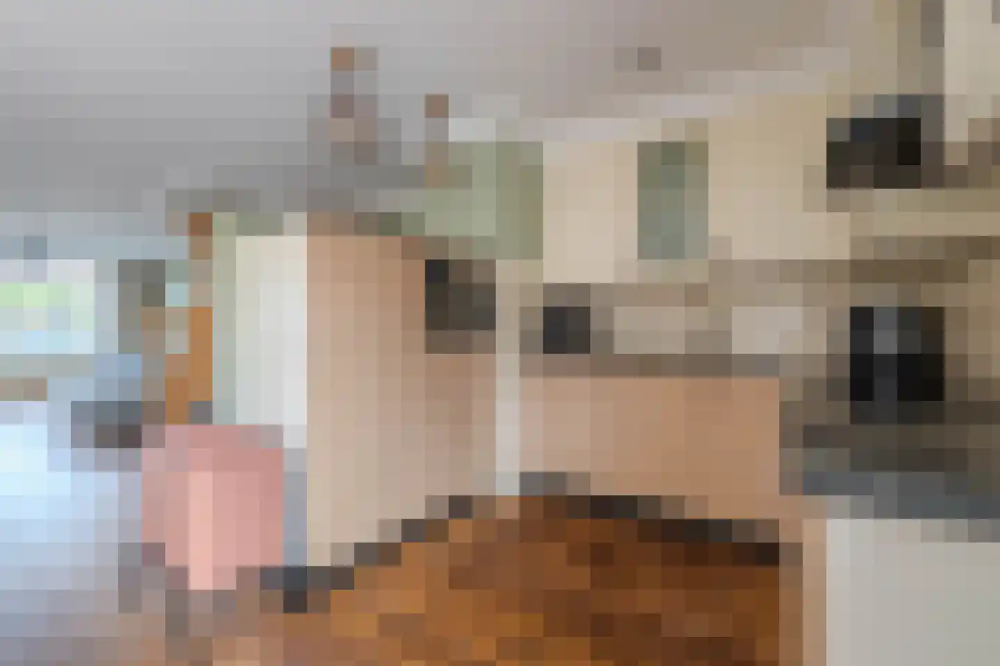 Pastoor de Botstraat 15 Merselo thumbnail 19