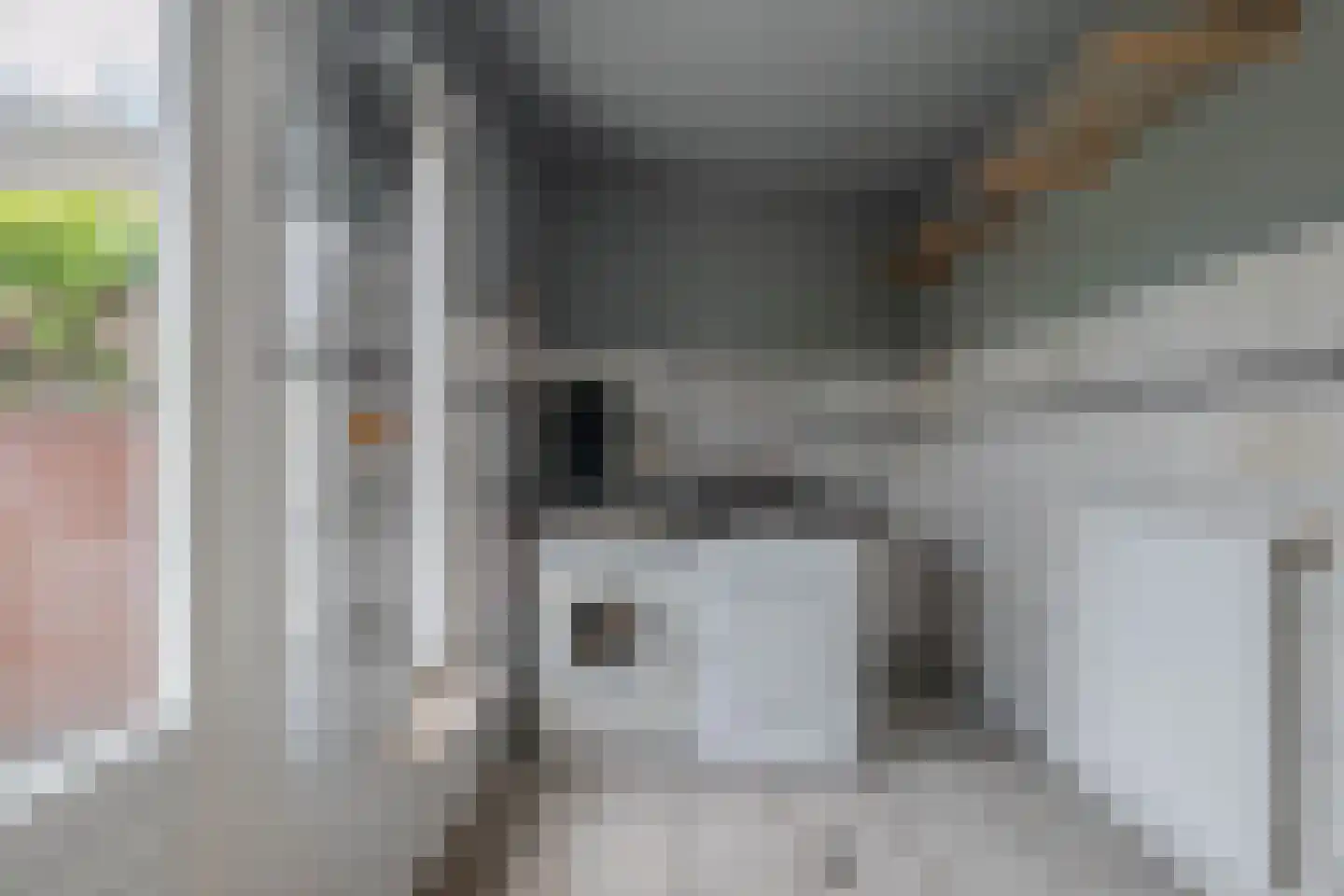 Pastoor de Botstraat 15 Merselo thumbnail 20
