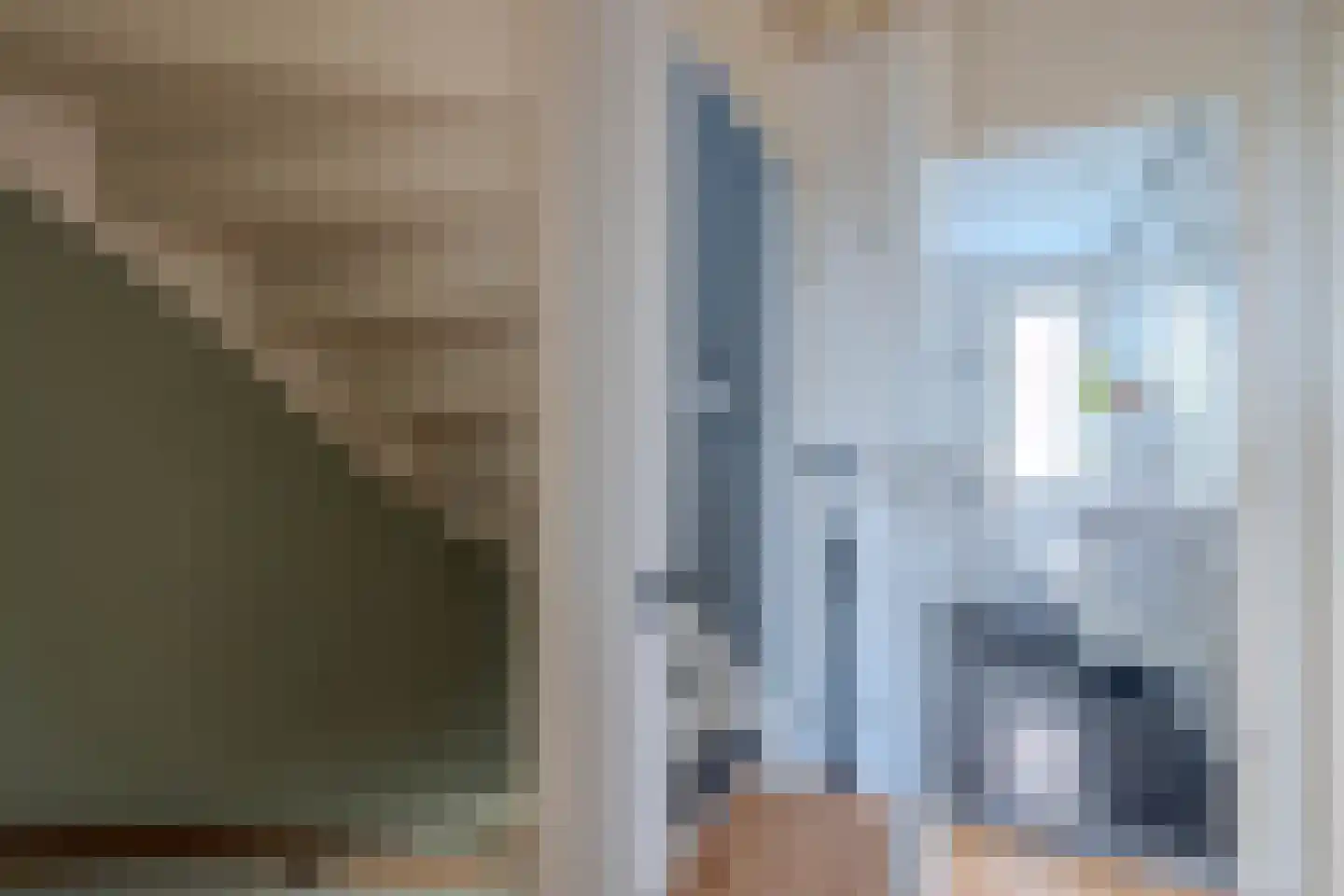 Pastoor de Botstraat 15 Merselo thumbnail 21