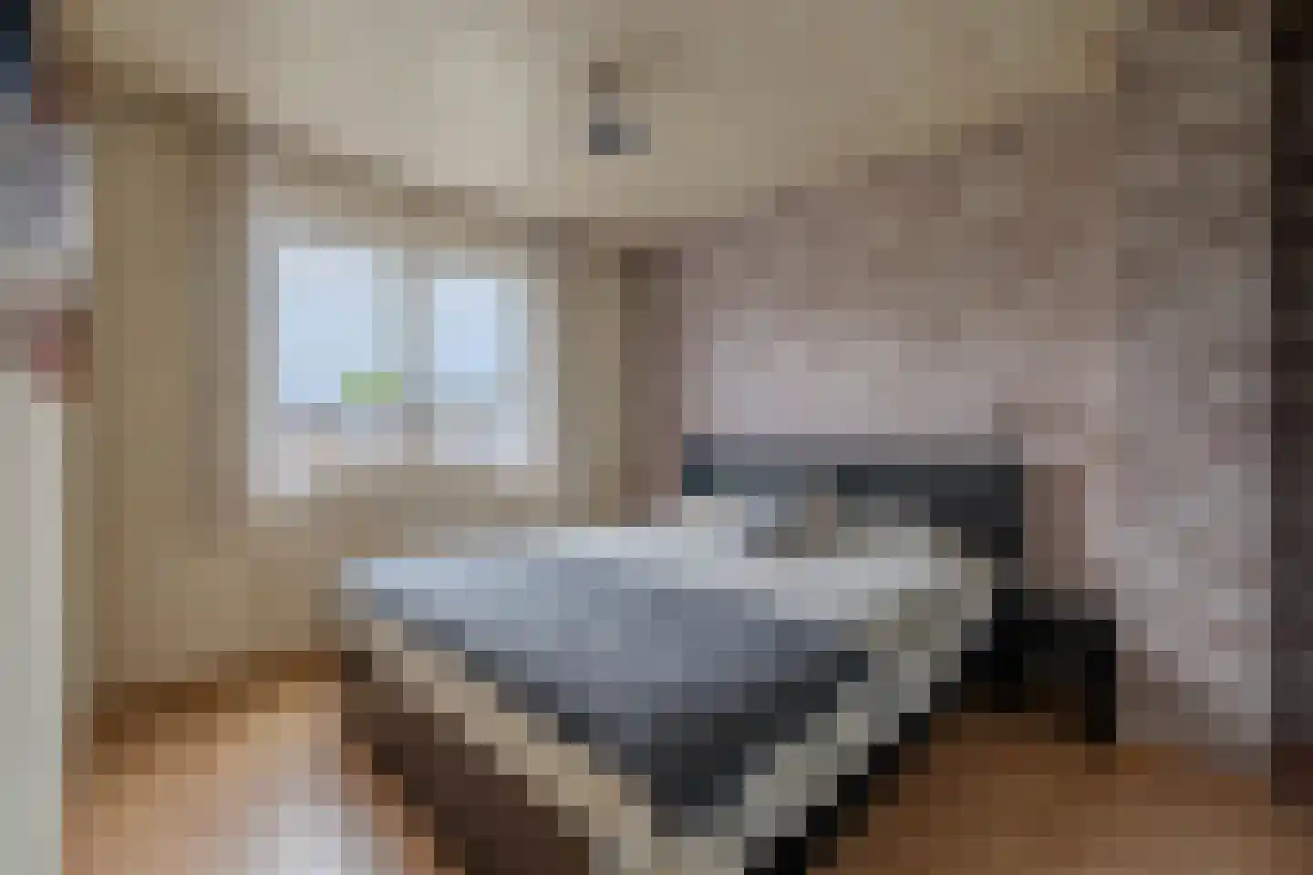 Pastoor de Botstraat 15 Merselo thumbnail 22