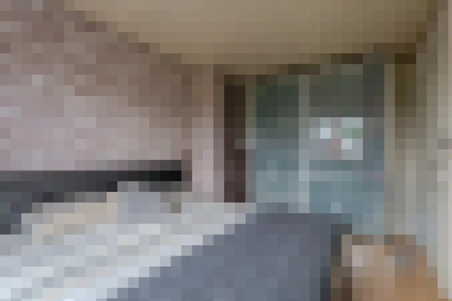 Pastoor de Botstraat 15 Merselo thumbnail 23