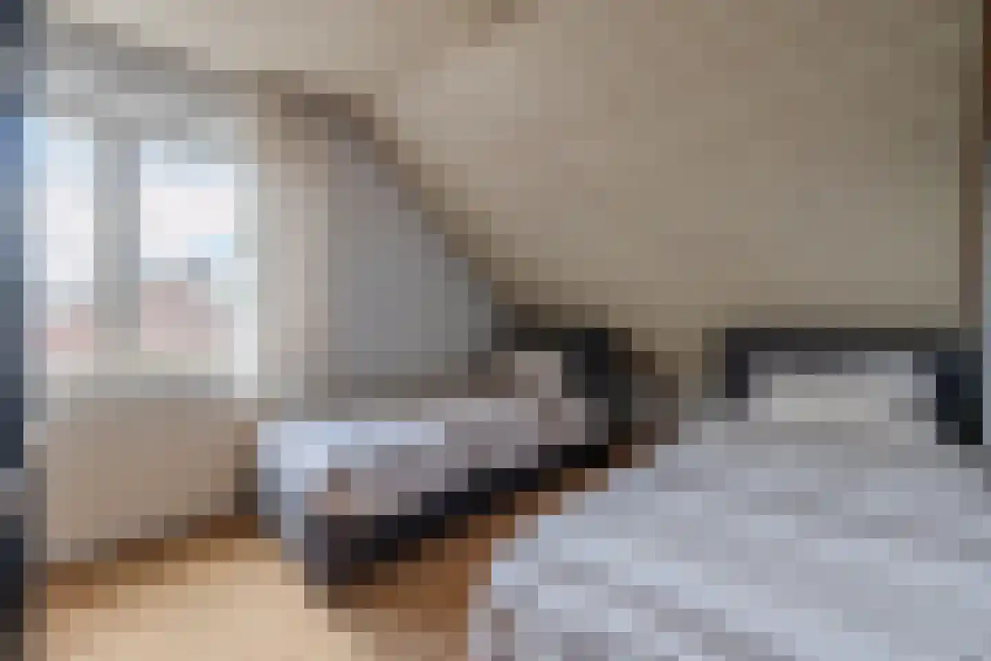 Pastoor de Botstraat 15 Merselo thumbnail 24