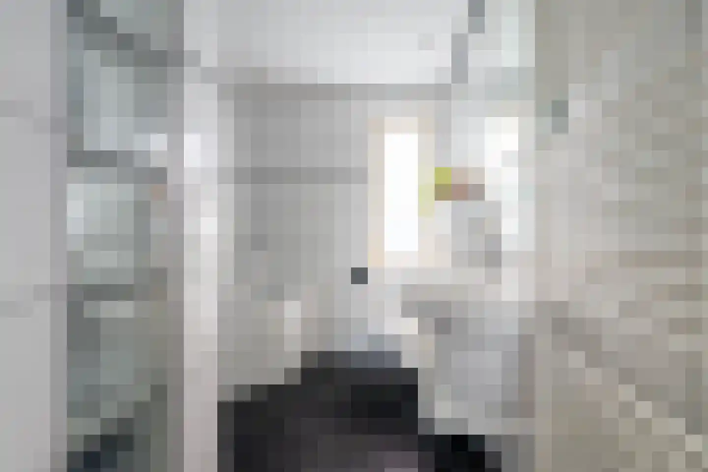 Pastoor de Botstraat 15 Merselo thumbnail 26