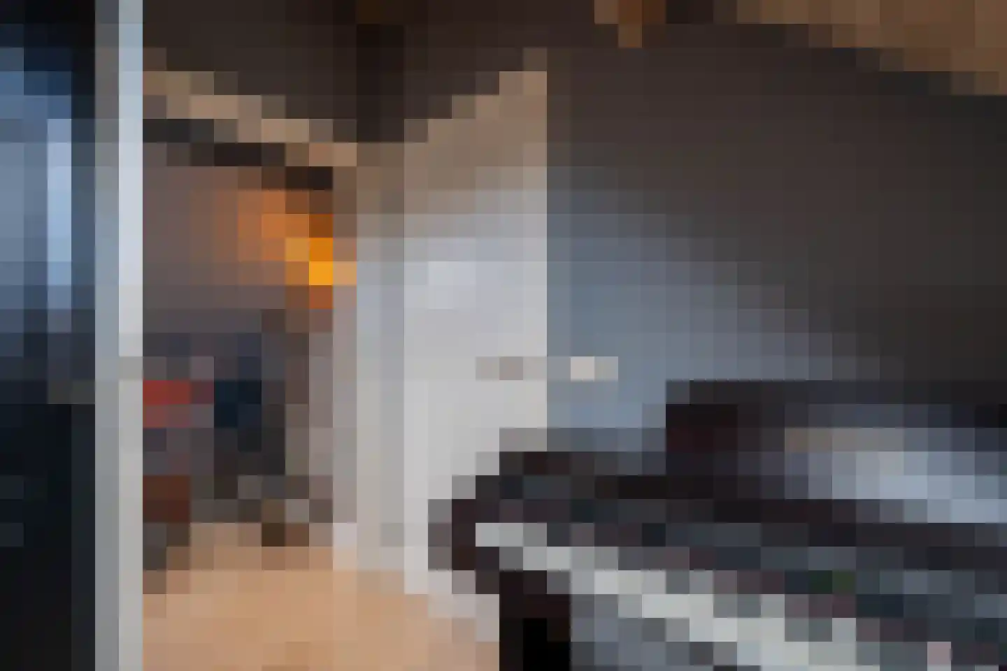Pastoor de Botstraat 15 Merselo thumbnail 30