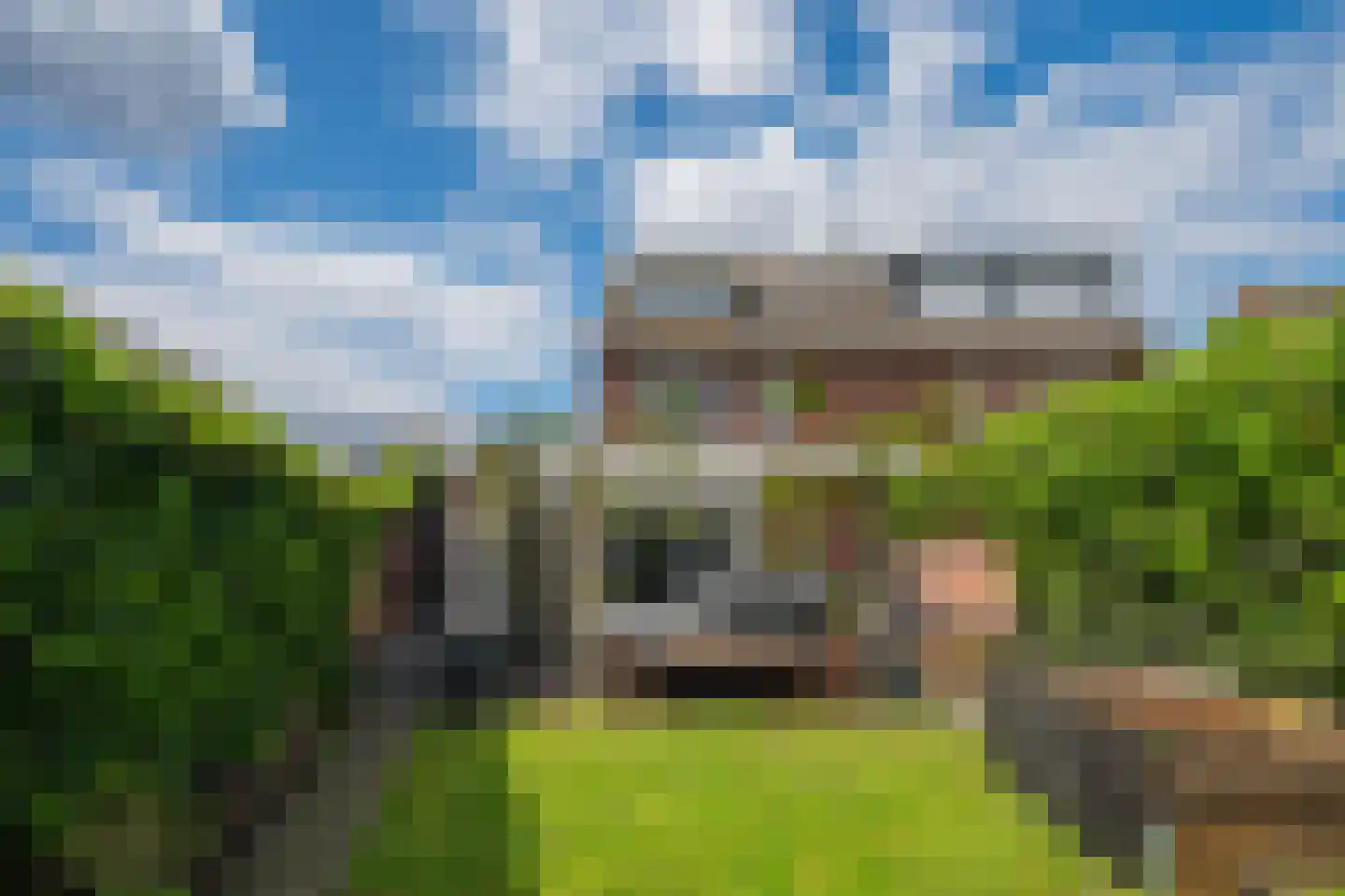 Pastoor de Botstraat 15 Merselo thumbnail 47