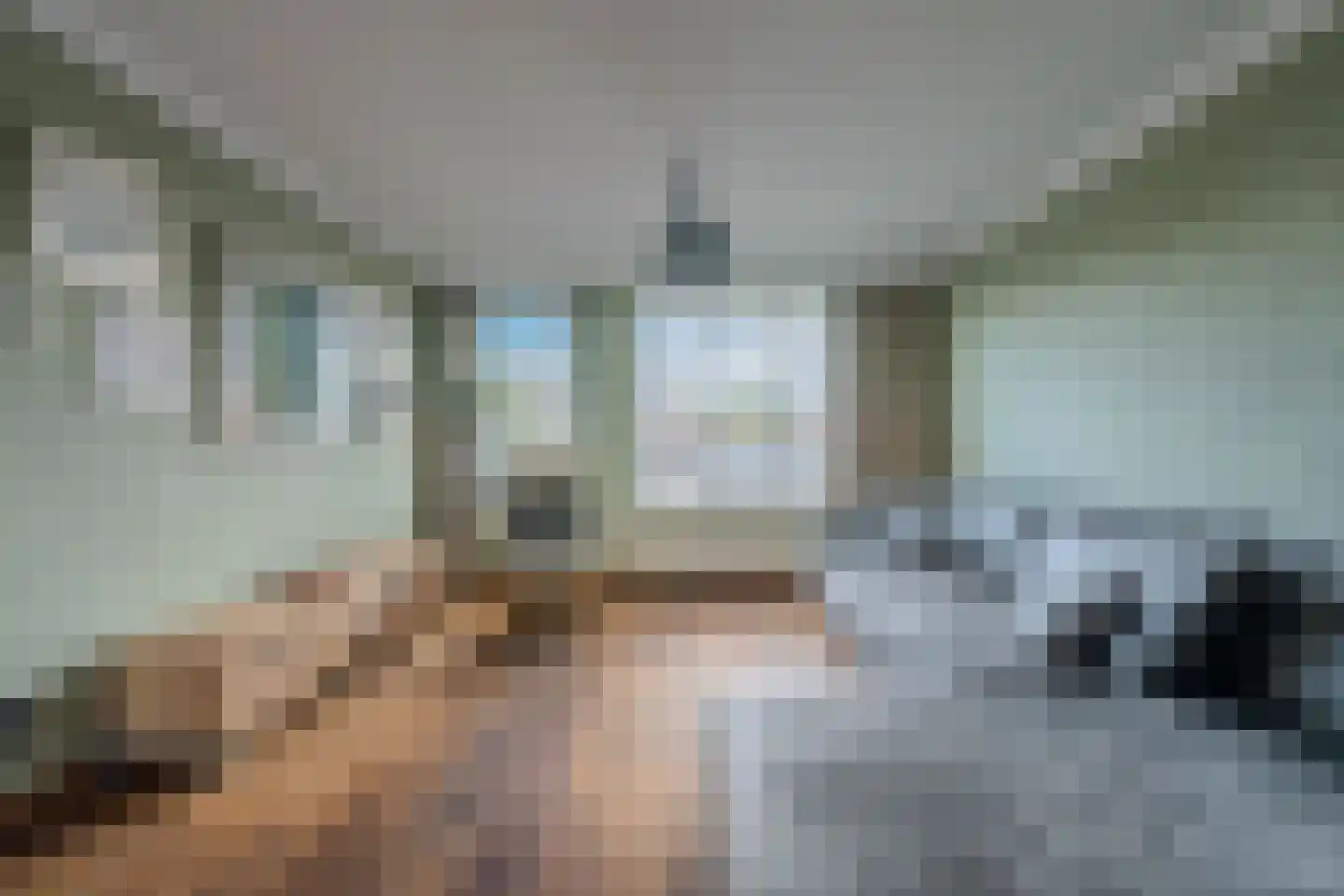 Pastoor de Botstraat 15 Merselo thumbnail 7