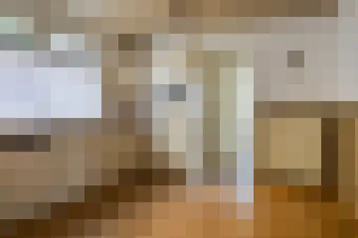Pastoor de Grootstraat 10 Loosbroek thumbnail 10