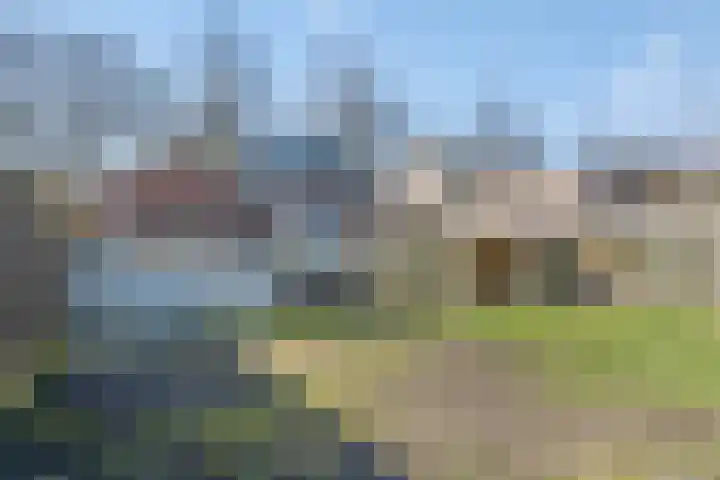 Pastoor de Grootstraat 10 Loosbroek thumbnail 31