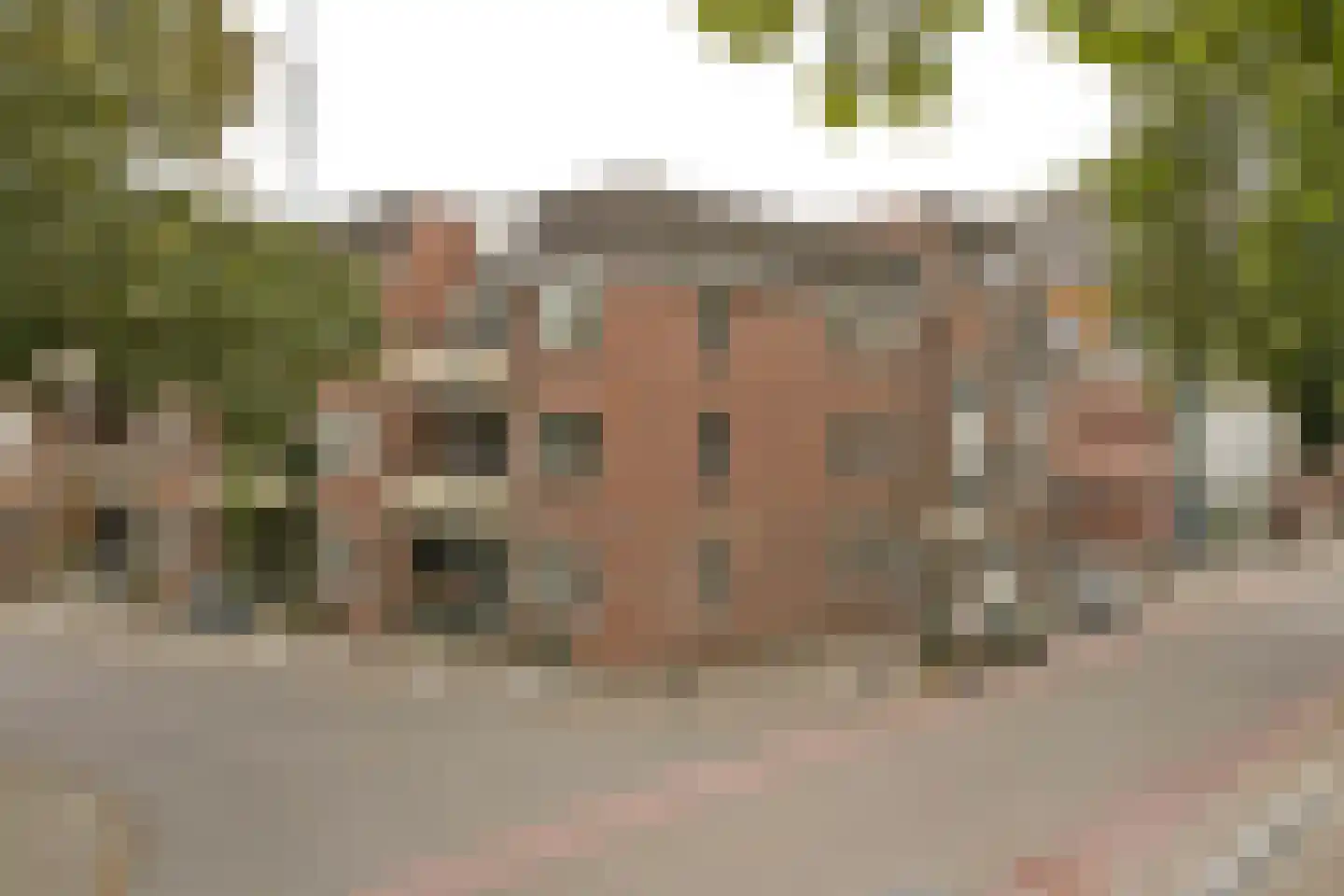Pastoor de Katerstraat 1 o Baarle-Nassau thumbnail 25