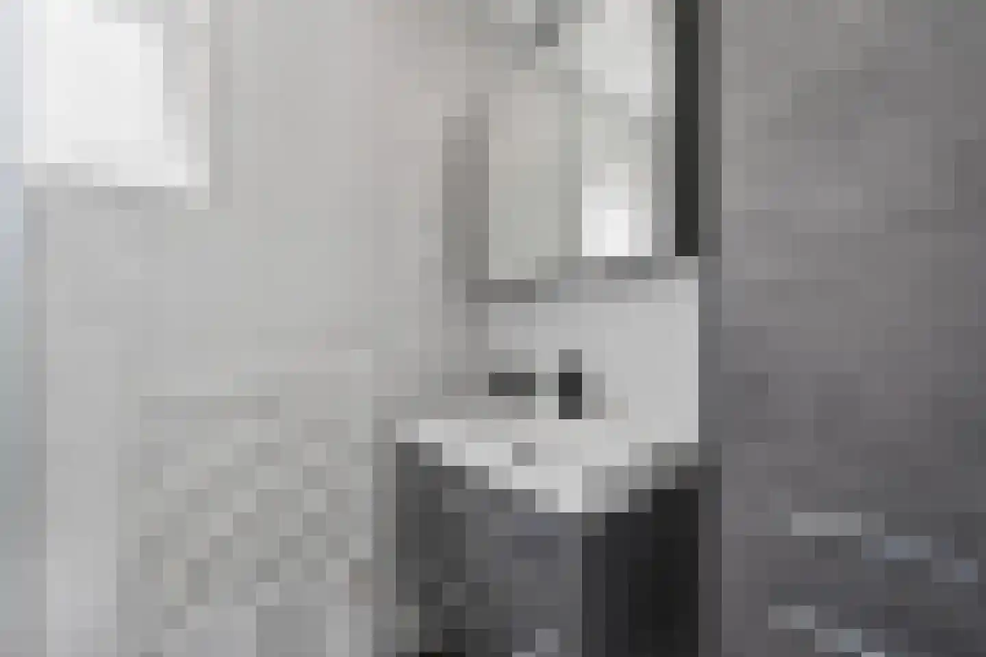 Pastoor de Klaverstraat 6 Barger-Compascuum thumbnail 21