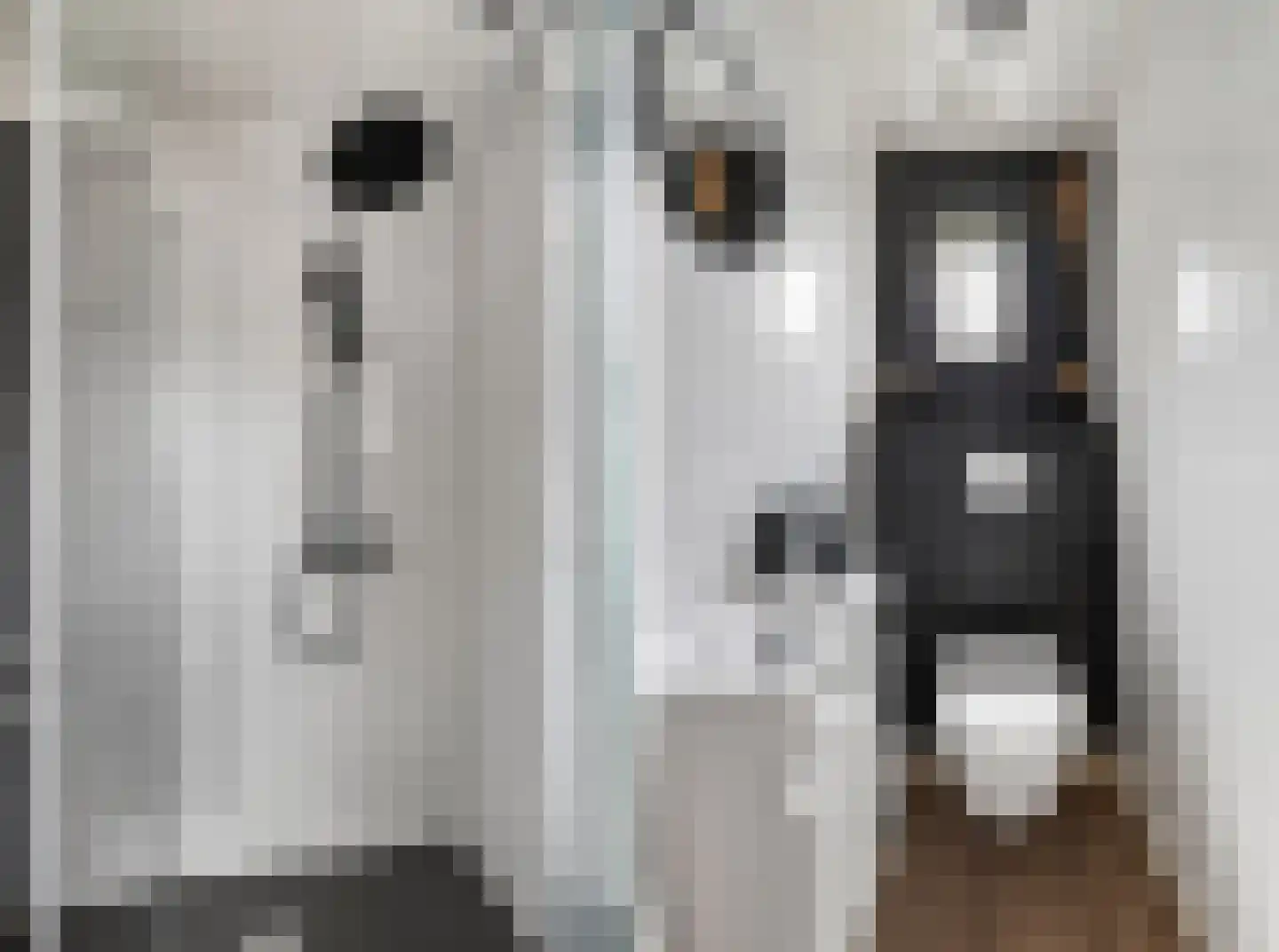 Pastoor de Klaverstraat 6 Barger-Compascuum thumbnail 22