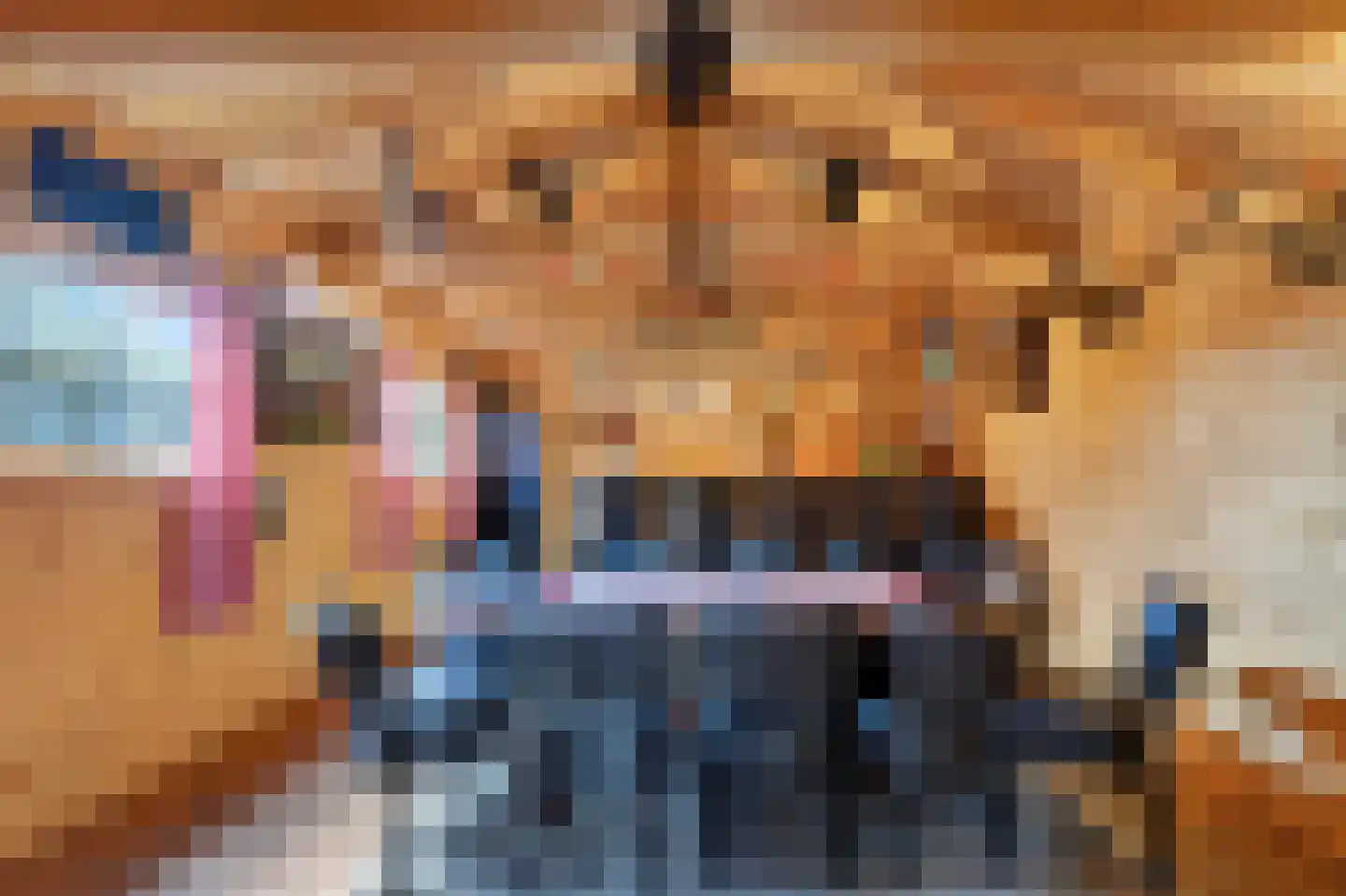 Pastoor de Klaverstraat 6 Barger-Compascuum thumbnail 39