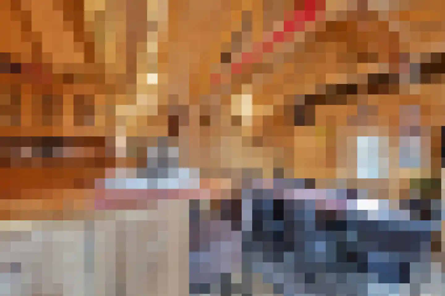 Pastoor de Klaverstraat 6 Barger-Compascuum thumbnail 40