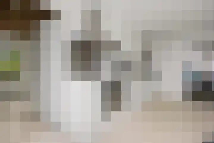 Pastoor de Klijnlaan 15 Kaatsheuvel thumbnail 19