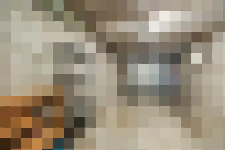 Pastoor de Klijnlaan 15 Kaatsheuvel thumbnail 36