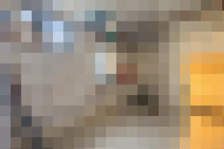 Pastoor de Klijnlaan 15 Kaatsheuvel thumbnail 41