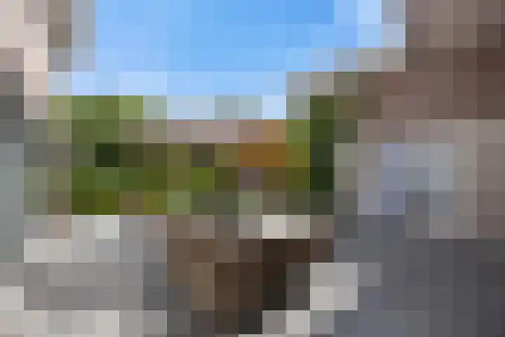 Pastoor de Klijnlaan 15 Kaatsheuvel thumbnail 44