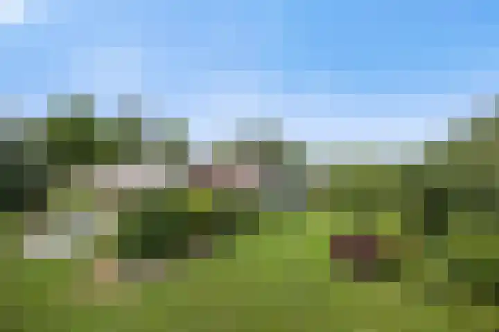 Pastoor de Klijnlaan 15 Kaatsheuvel thumbnail 46