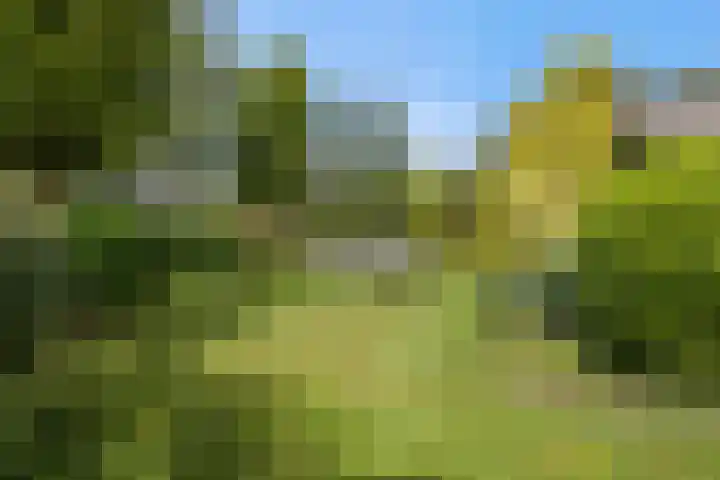 Pastoor de Klijnlaan 15 Kaatsheuvel thumbnail 47
