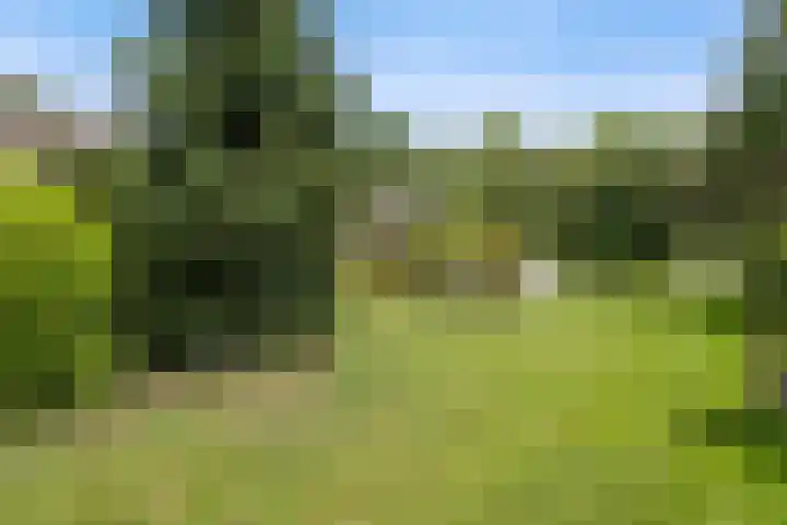 Pastoor de Klijnlaan 15 Kaatsheuvel thumbnail 48