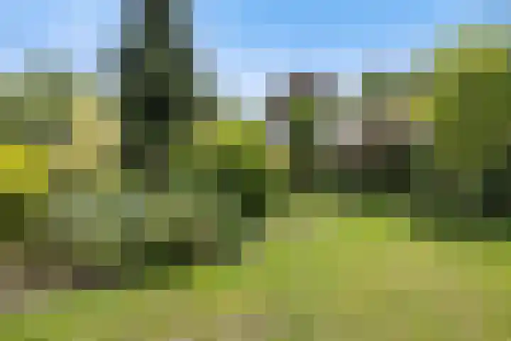 Pastoor de Klijnlaan 15 Kaatsheuvel thumbnail 49