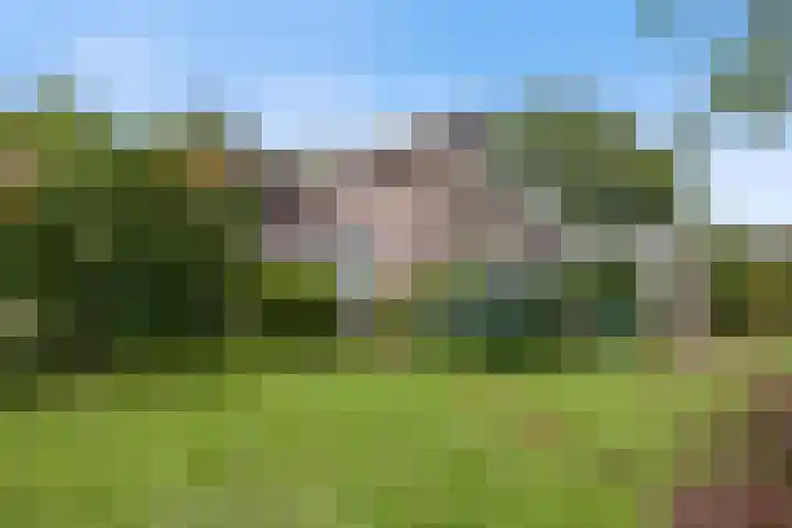 Pastoor de Klijnlaan 15 Kaatsheuvel thumbnail 53