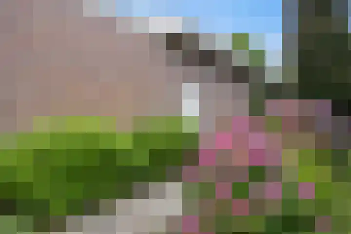 Pastoor de Klijnlaan 15 Kaatsheuvel thumbnail 55
