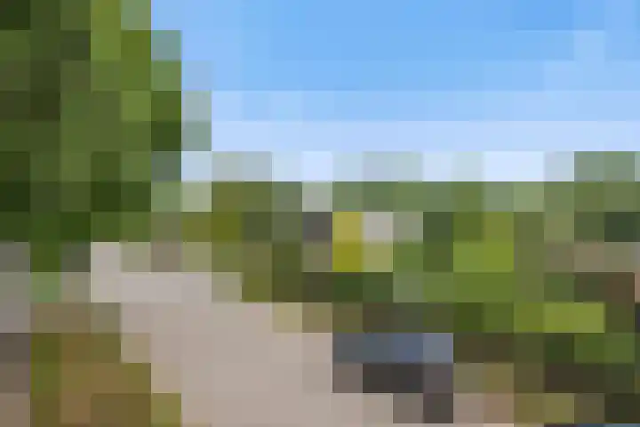 Pastoor de Klijnlaan 15 Kaatsheuvel thumbnail 57