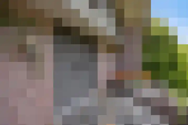 Pastoor de Klijnlaan 15 Kaatsheuvel thumbnail 6