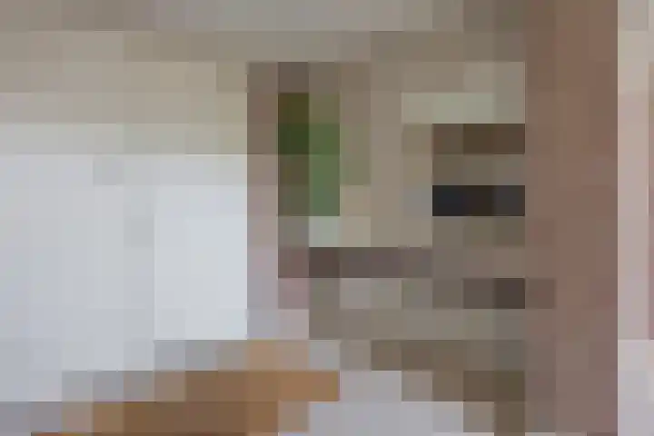 Pastoor de Klijnlaan 15 Kaatsheuvel thumbnail 8