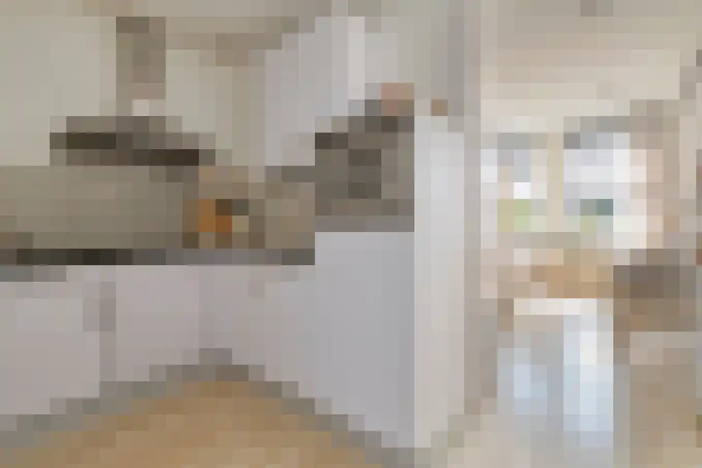 Pastoor de Kroonstraat 289 B 's-Hertogenbosch thumbnail 6