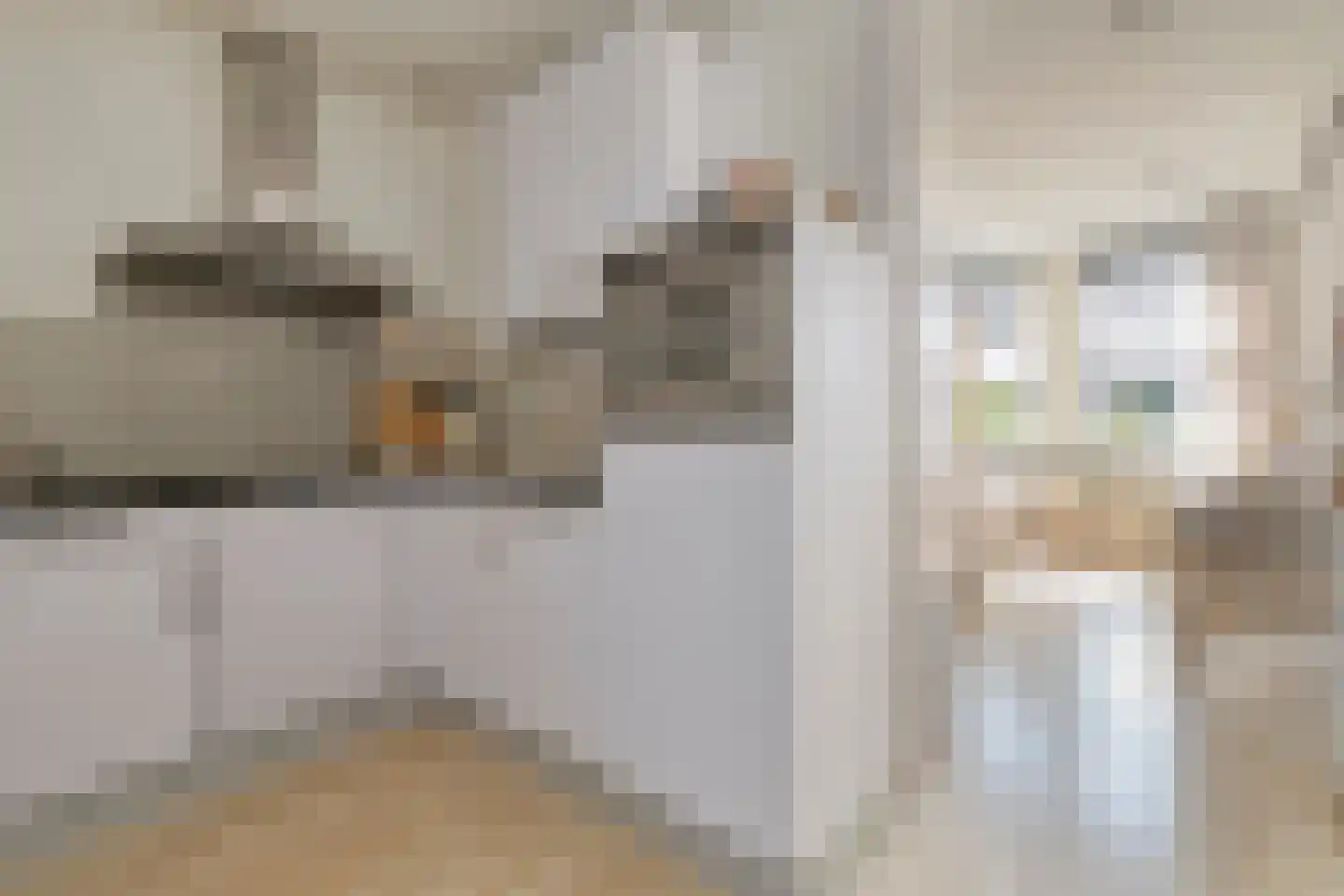 Pastoor de Kroonstraat 289 B 's-Hertogenbosch thumbnail 7