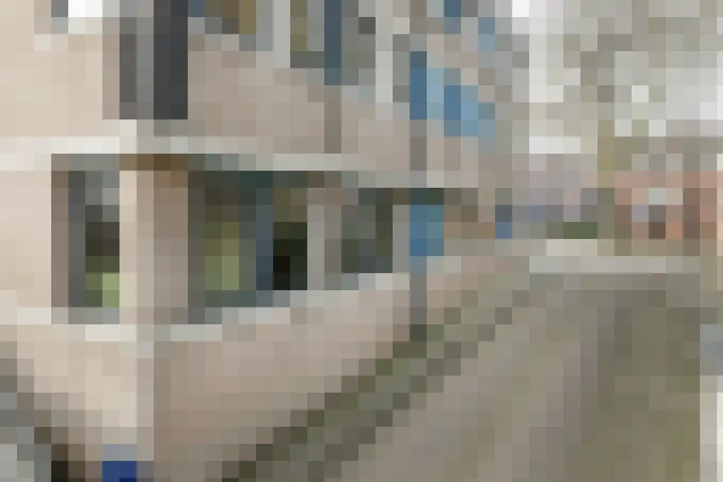 Pastoor de Kroonstraat 289 E 's-Hertogenbosch thumbnail 17