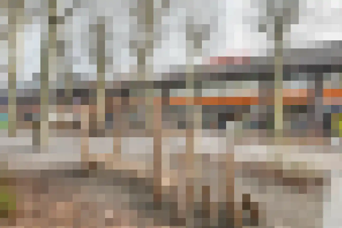 Pastoor de Kroonstraat 289 E 's-Hertogenbosch thumbnail 19
