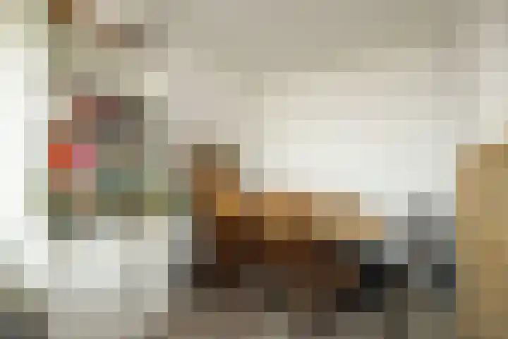 Pastoor de Kroonstraat 297 K 's-Hertogenbosch thumbnail 11