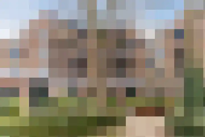 Pastoor de Kroonstraat 70 's-Hertogenbosch thumbnail 31