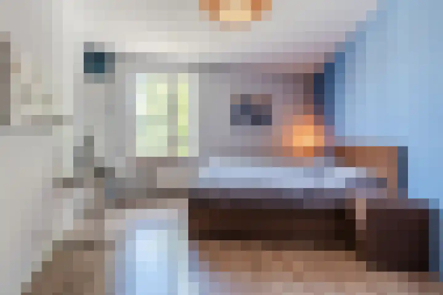 Pastoor de Kroonstraat 92 's-Hertogenbosch thumbnail 11