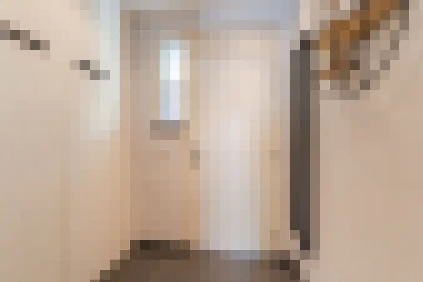 Pastoor de Kroonstraat 92 's-Hertogenbosch thumbnail 20