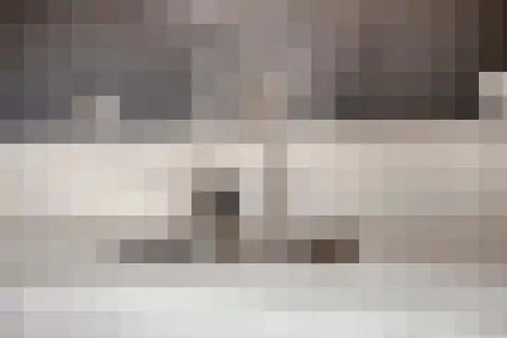 Pastoor de Leijerstraat 38 Rosmalen thumbnail 11