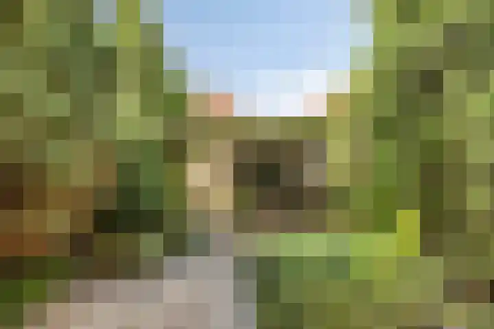 Pastoor de Leijerstraat 38 Rosmalen thumbnail 27