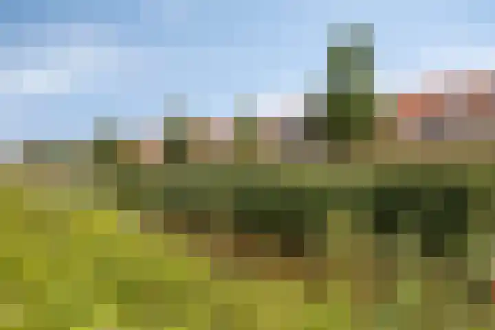 Pastoor de Leijerstraat 38 Rosmalen thumbnail 36